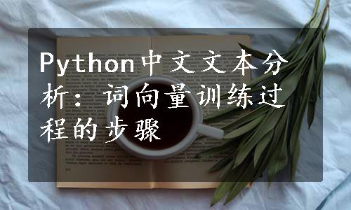 Python中文文本分析：词向量训练过程的步骤