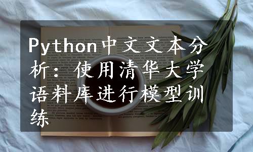 Python中文文本分析：使用清华大学语料库进行模型训练