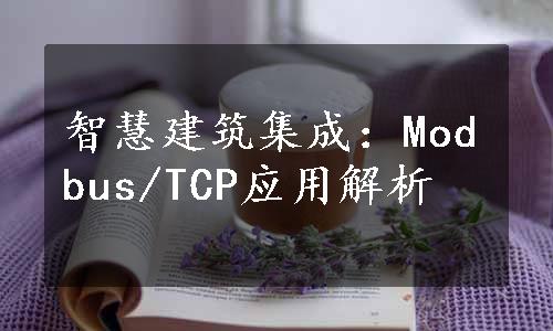 智慧建筑集成：Modbus/TCP应用解析