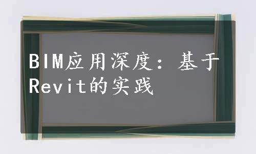 BIM应用深度：基于Revit的实践