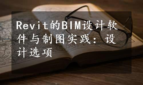 Revit的BIM设计软件与制图实践：设计选项