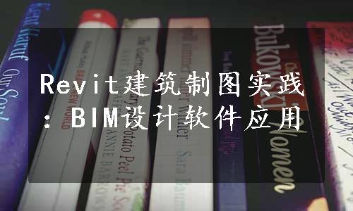 Revit建筑制图实践：BIM设计软件应用