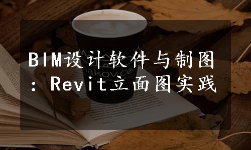 BIM设计软件与制图：Revit立面图实践