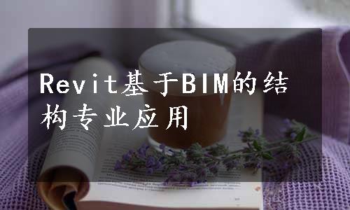 Revit基于BIM的结构专业应用