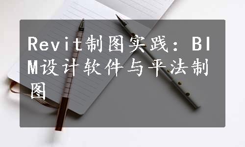 Revit制图实践：BIM设计软件与平法制图