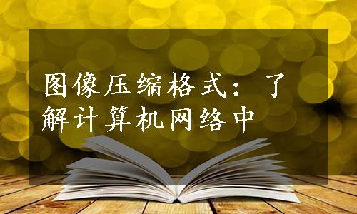 图像压缩格式：了解计算机网络中