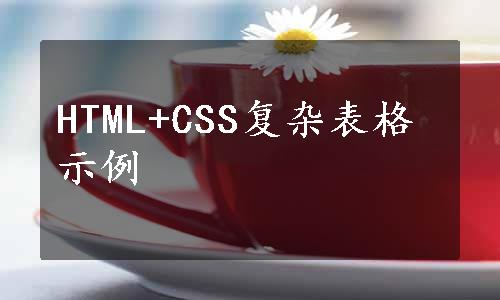 HTML+CSS复杂表格示例