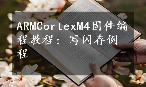 ARMCortexM4固件编程教程：写闪存例程