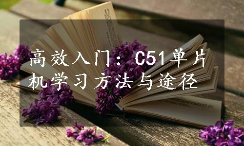 高效入门：C51单片机学习方法与途径