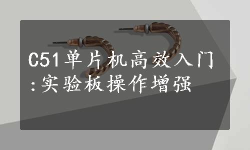 C51单片机高效入门:实验板操作增强