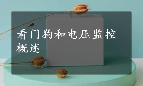 看门狗和电压监控概述