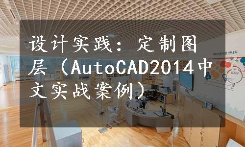 设计实践：定制图层（AutoCAD2014中文实战案例）