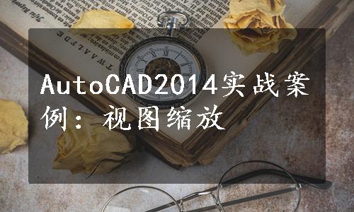 AutoCAD2014实战案例：视图缩放