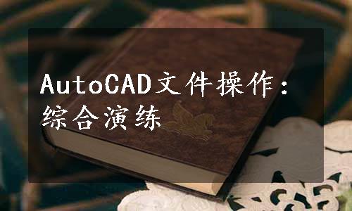 AutoCAD文件操作：综合演练