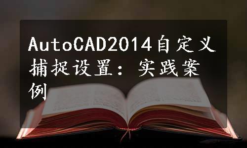 AutoCAD2014自定义捕捉设置：实践案例