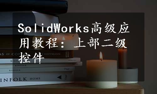 SolidWorks高级应用教程：上部二级控件