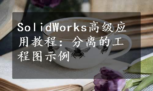 SolidWorks高级应用教程：分离的工程图示例