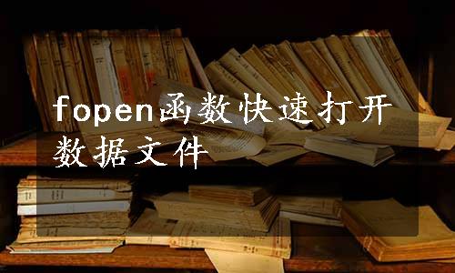 fopen函数快速打开数据文件