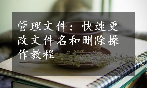 管理文件：快速更改文件名和删除操作教程