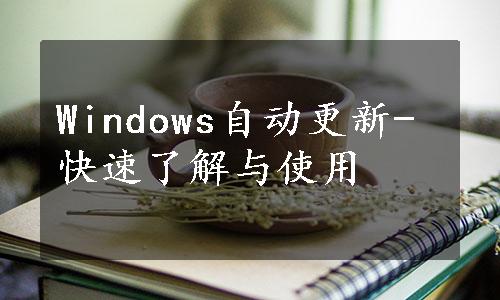 Windows自动更新-快速了解与使用