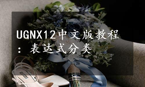 UGNX12中文版教程：表达式分类