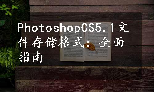 PhotoshopCS5.1文件存储格式：全面指南
