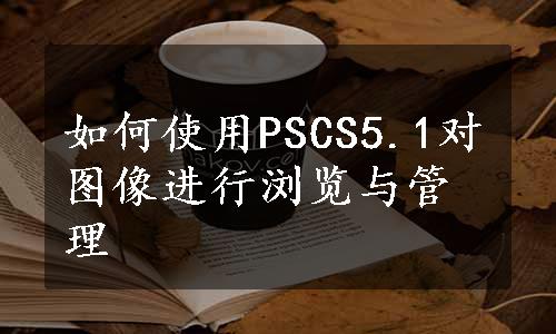 如何使用PSCS5.1对图像进行浏览与管理