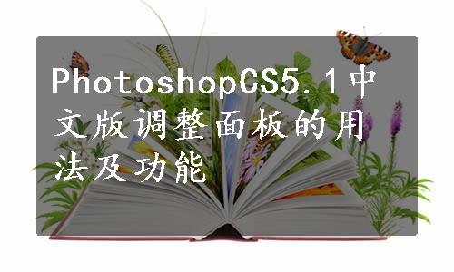 PhotoshopCS5.1中文版调整面板的用法及功能