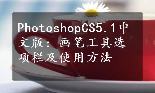 PhotoshopCS5.1中文版：画笔工具选项栏及使用方法