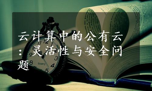 云计算中的公有云：灵活性与安全问题