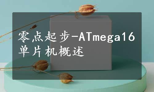 零点起步-ATmega16单片机概述