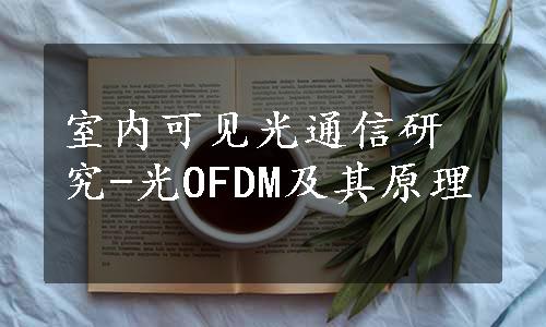 室内可见光通信研究-光OFDM及其原理