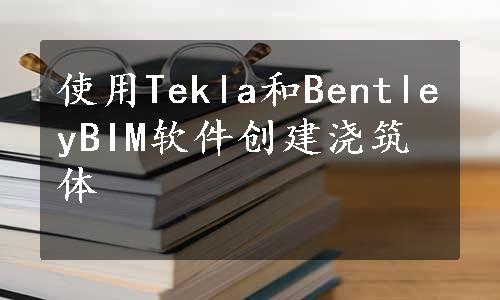 使用Tekla和BentleyBIM软件创建浇筑体