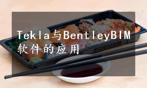 Tekla与BentleyBIM软件的应用