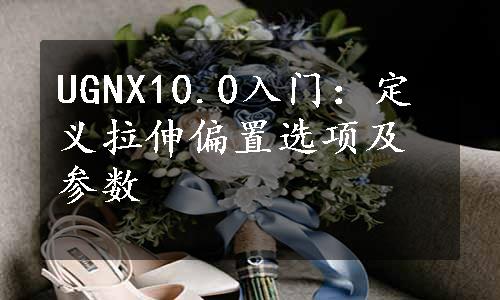 UGNX10.0入门：定义拉伸偏置选项及参数