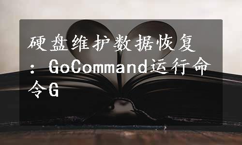 硬盘维护数据恢复：GoCommand运行命令G