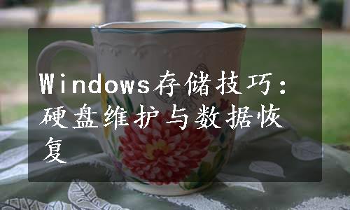 Windows存储技巧：硬盘维护与数据恢复