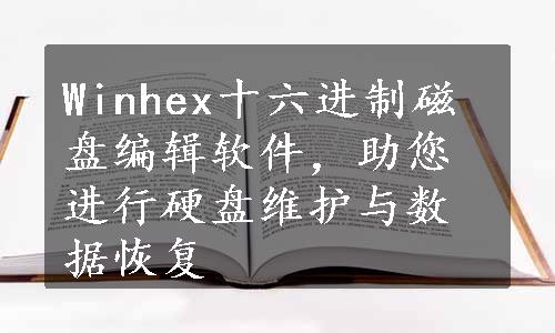 Winhex十六进制磁盘编辑软件，助您进行硬盘维护与数据恢复