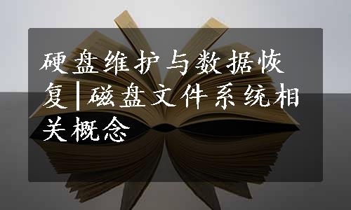 硬盘维护与数据恢复|磁盘文件系统相关概念