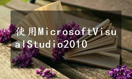 使用MicrosoftVisualStudio2010