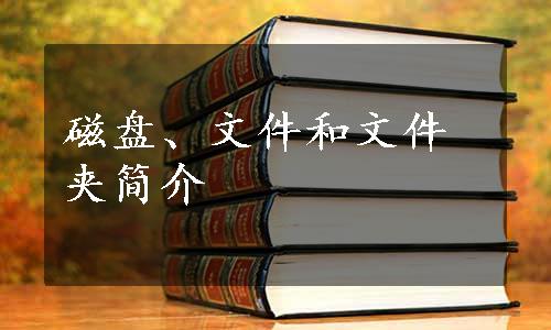 磁盘、文件和文件夹简介