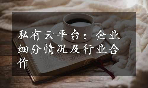 私有云平台：企业细分情况及行业合作