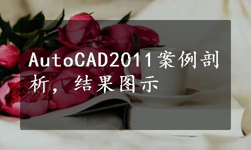 AutoCAD2011案例剖析，结果图示