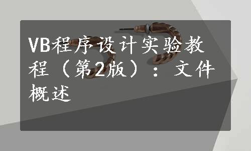 VB程序设计实验教程（第2版）：文件概述