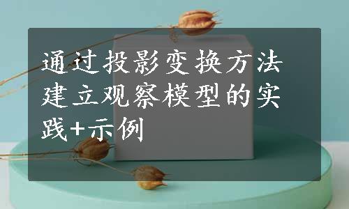 通过投影变换方法建立观察模型的实践+示例