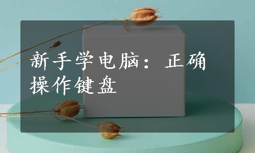 新手学电脑：正确操作键盘