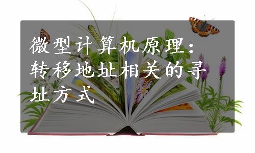 微型计算机原理：转移地址相关的寻址方式