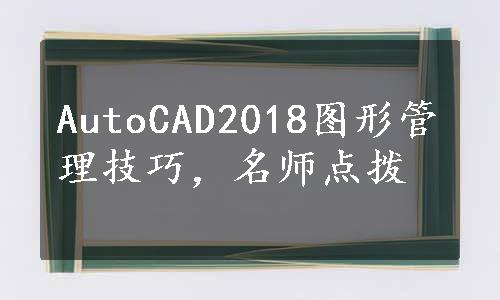 AutoCAD2018图形管理技巧，名师点拨