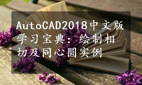 AutoCAD2018中文版学习宝典：绘制相切及同心圆实例