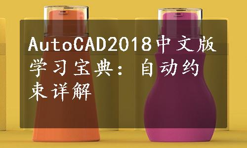 AutoCAD2018中文版学习宝典：自动约束详解